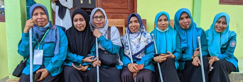 Pasukan sapu jagat